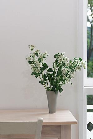 上質なアイアン家具を取り扱っています