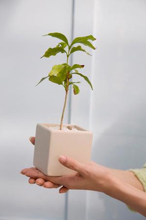 北海道札幌ショールーム｜タカラスタンダードの最新キッチン・バス・洗面所を体験できる総合展示施設