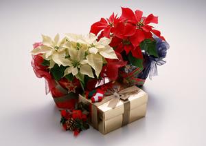 通販で素敵なインテリア雑貨を見つけよう