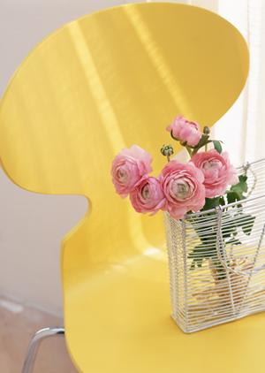 ペルシャ絨毯を美しく保つための洗濯とメンテナンス完全ガイド