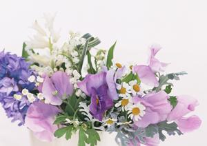 自宅の音楽空間に華やかさを。無垢な音質で響き渡るオーディオ機器の魅力