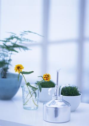 デザイナーズ家具を高く買い取る専門店