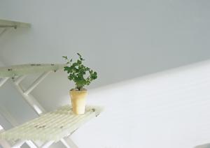 和泉市で理想の水まわりリフォームを実現するためのポイントと業者選びガイド